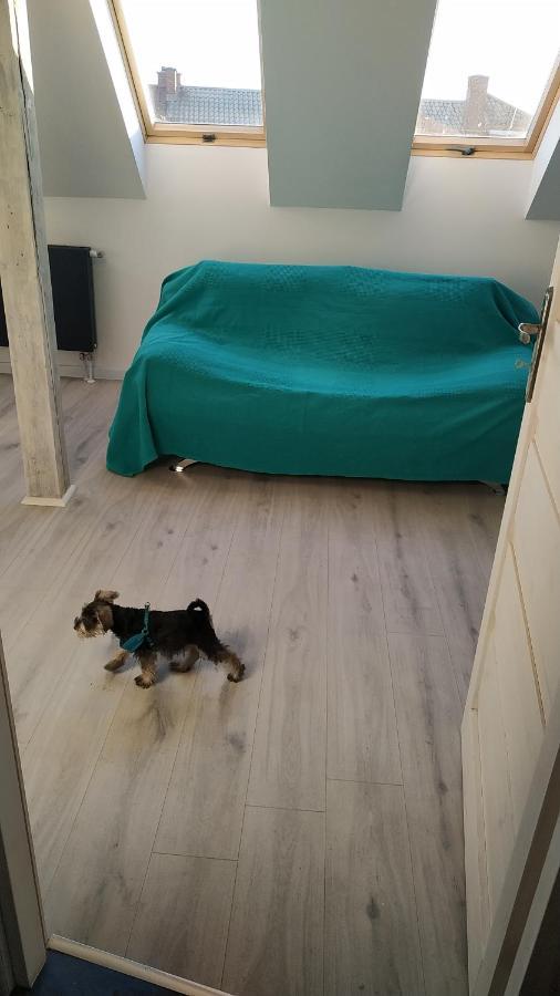 Apartament Witkacego Zielony Σλούπσκ Εξωτερικό φωτογραφία