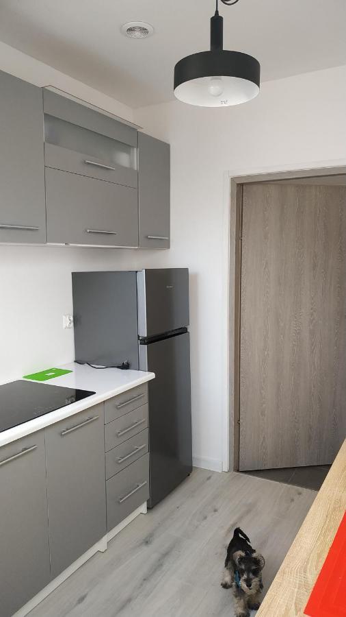 Apartament Witkacego Zielony Σλούπσκ Εξωτερικό φωτογραφία